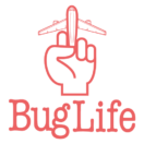 Bug Life